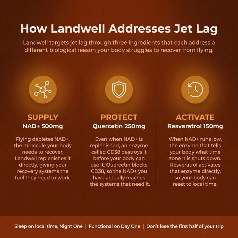 Landwell